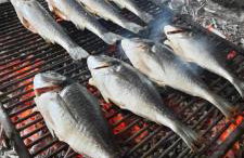 Apartmani Dejan - Photo 26