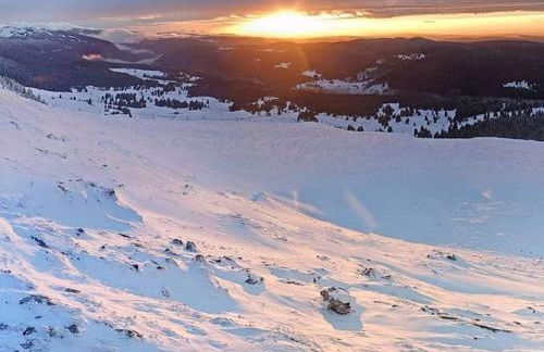 LE CHALET des 3 Sapins, Superbe Duplex Montagnard avec balcon, au calme - Les Rousses, Draps inclus & Parking gratuit - Foto 31