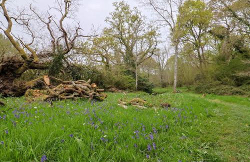 Oak Shepherd Hut - Photo 30