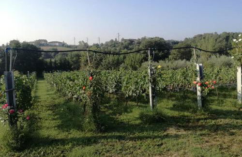 Il Casale di Lucullo - Foto 53