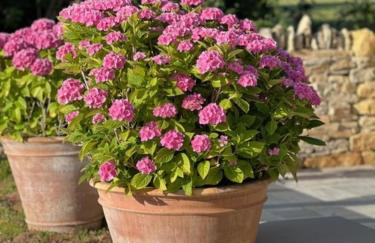 Idyllic secluded hideaway with countryside views on the edge of the Cotswolds - Photo 24