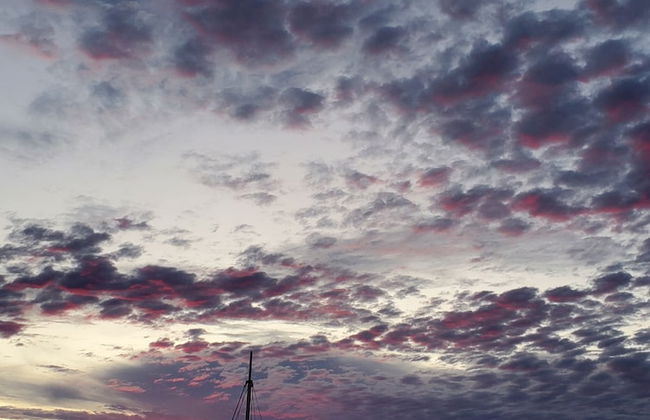 Gray's Inn & Gallery - Foto 26