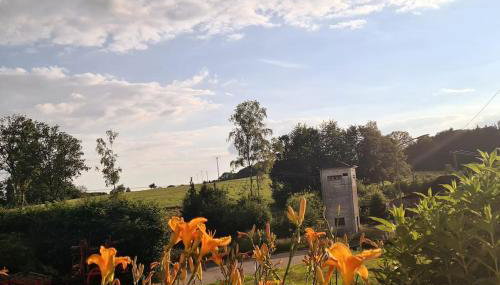 Ferienwohnung Markelsbach - Foto 5, Garden view