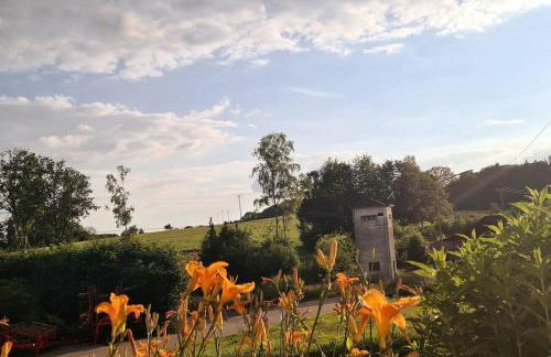 Ferienwohnung Markelsbach - Foto 8