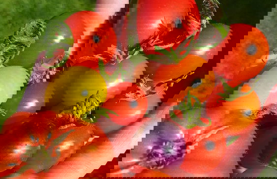 Croan Cottages Self Catering - Foto 9