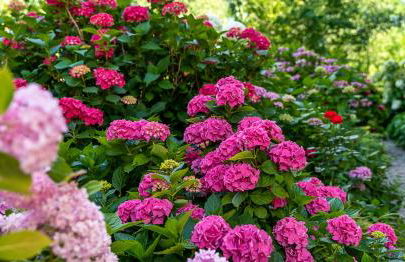 Appartementhof Stadler - Foto 79