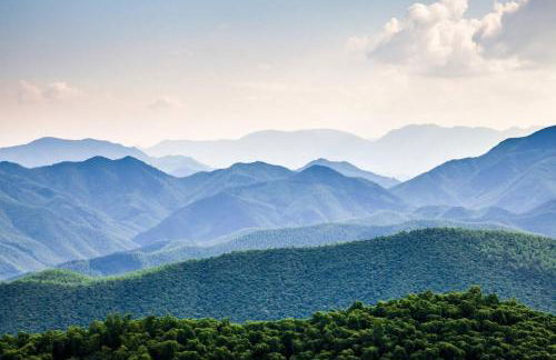 The Ancient Bears Den By Avada Properties - Foto 78