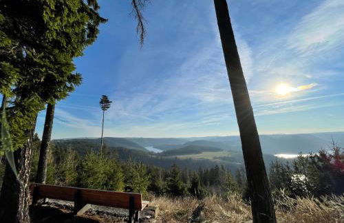 AR Apartments II I 5 Pers I Prime I Küche I WLAN I am Thüringer Meer - Foto 41