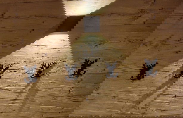 Platzhirsch First Class Living - Foto 31