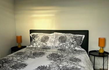 Star Scape - Foto 10