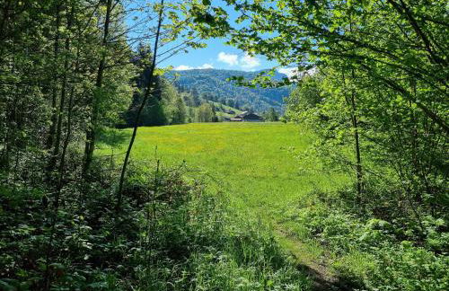 Prümbachhof - Foto 39