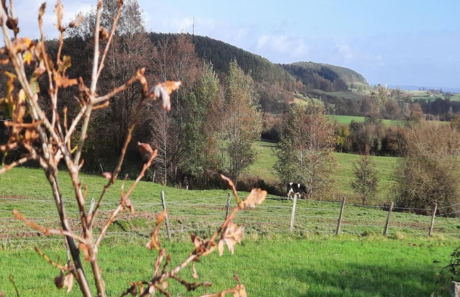 Countryside Escape for 9 - Foto 32