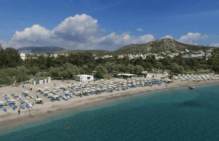 Amazing Garden House - Photo 43