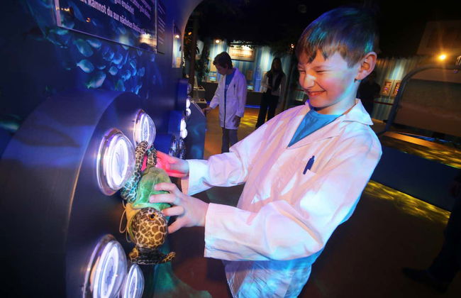 Entrada a SEA LIFE® Constanza - Foto 6