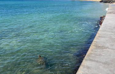 Oceanfront Kahana - 1 Bedroom, 2 Beds, Ground Floor - Foto 22