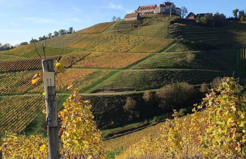 Ferienwohnung in Durbach- Urlaub am Weinberg - Foto 26