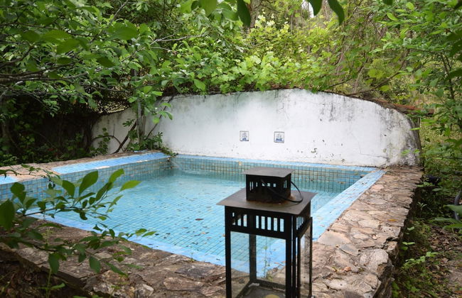 Quiet Cottage in Estate Casas da Cerca near Troviscais - Foto 13