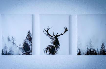 Ferienhaus Auszeit - Photo 27