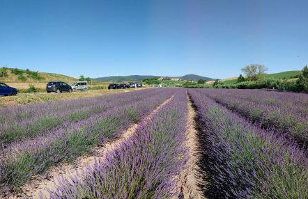 Villa Barbara - Foto 62