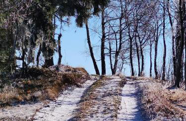 Siódme Niebo domek w górach - Foto 76