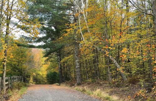 Spacious Catskills Home with Covered Hot Tub - Foto 35