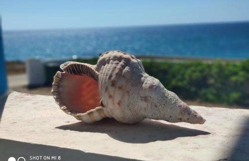 Blue Sea Studios - Foto 12