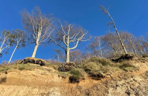 Apartamenty nad morzem Przy klifie 3 Dębina - Foto 75