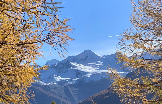 Bergfreude - Foto 76