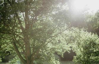 Balia i Las Domek nad jeziorem MoreLife House - Foto 20