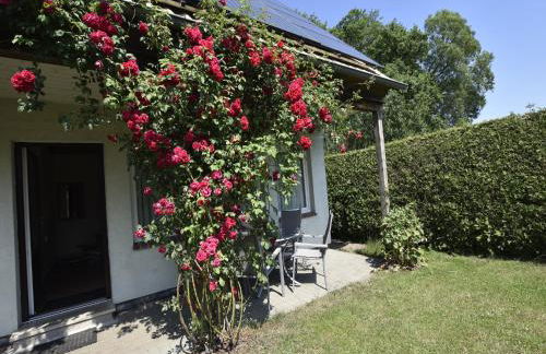 Ferienhaus in der Naehe der Ostsee - Foto 55