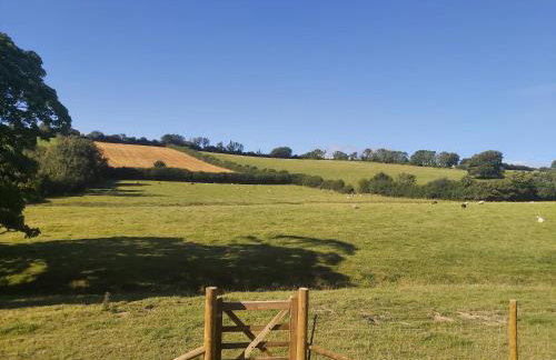 Cuckoo's Nest - Foto 13