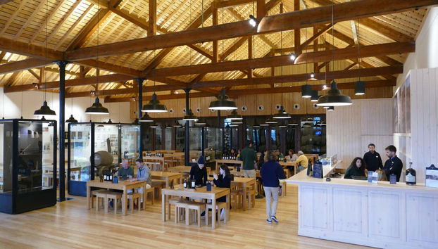 Visita a la bodega Graham's - Photo 2