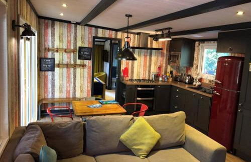 Sandy Balls Holiday Park Pet Friendly Lodge - Photo 7