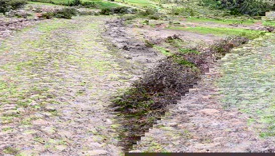 Tour en bicicleta por el Camino Real de Tierra Adentro