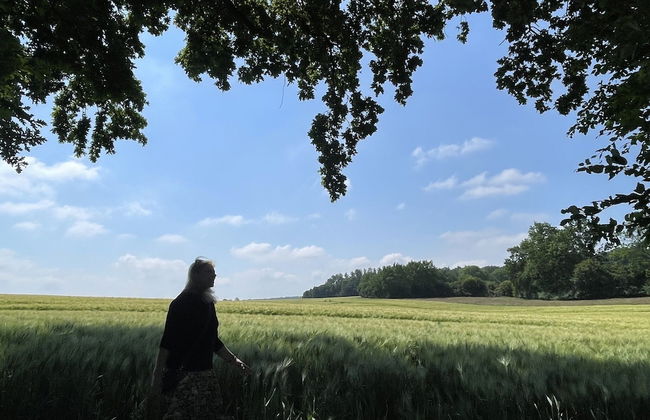 Flat in Eutin on the Kleiner Eutiner See Lake - Photo 16