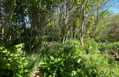 Owlswood Lodge - Photo 76