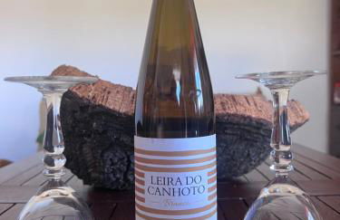 Refúgio dos Sapinhos - Photo 19