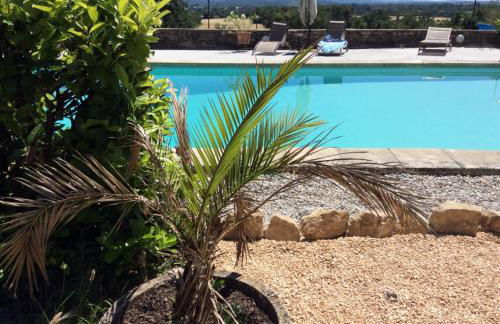 mas des broussonnetiers - Photo 18