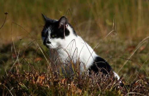 Öderbauer-Hof - Foto 3