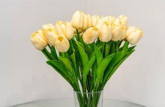 Adorable 2BR-2BA House with EV & Free Parking and Family Friendly in Los Angeles - Photo 33