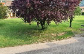 Casa Gina & Jeto - Foto 27