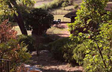 La Gufaia - holiday house with private pool near Florence - Foto 48