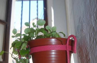 El rinconcito - Foto 12