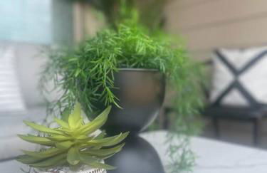 Katy Vibes With Jacuzzi, Elegant and Peaceful 3BR - Foto 26