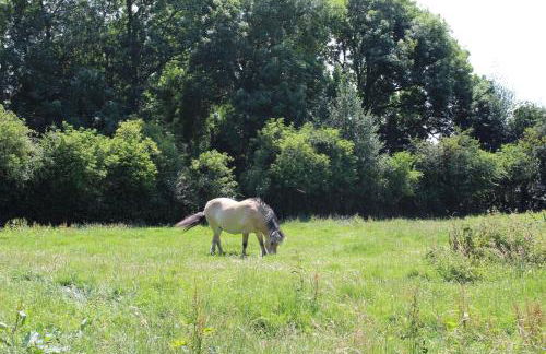 La Ferme de la Croix - Foto 25