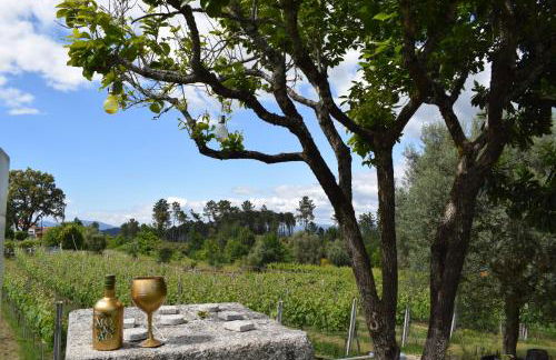 Casa dos Picoutos AL - Foto 36