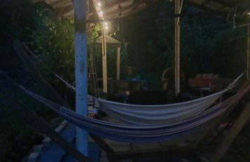 Królówka - Foto 13