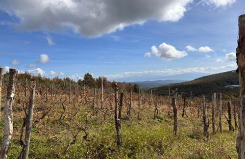 Historic Farmhouse Casa Del Chiodo - Foto 79