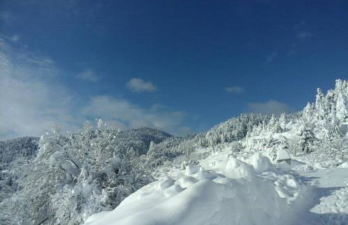 Arli House - Photo 40