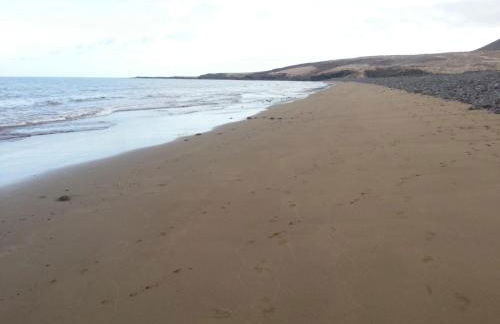 Wild House - Photo 37